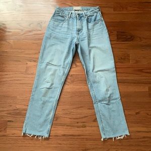 Everlane The Cheeky Jean